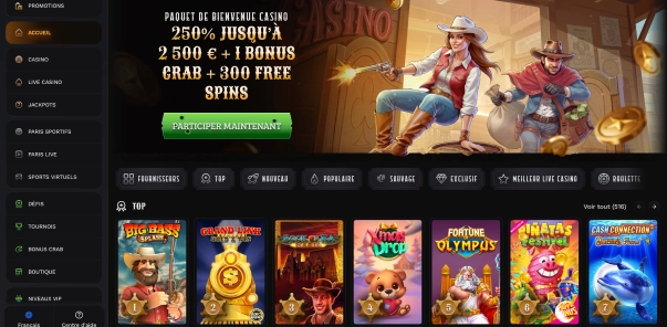 Wildsino casino expérience utilisateur et interface